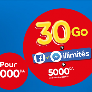 ooredoo maxy internet